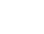 Pizza Hero - Logo 2011